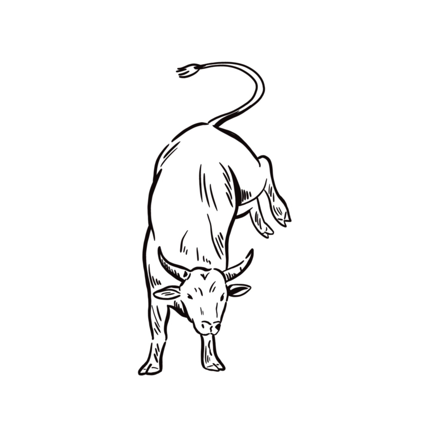 Bull