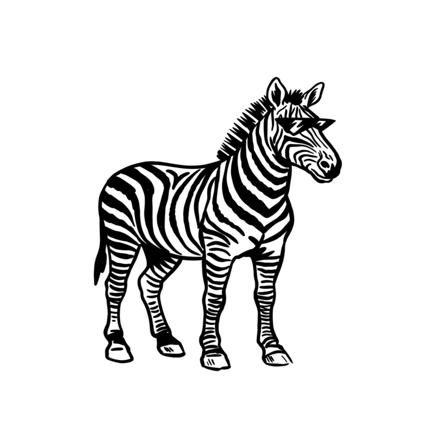 Zany zebra
